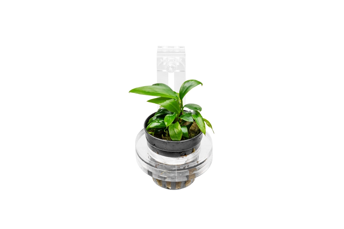 UNS Hydro Pot Holder